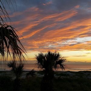 Meet your Posher, Robin